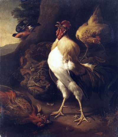 Proud Rooster by Unbekannt Unbekannt